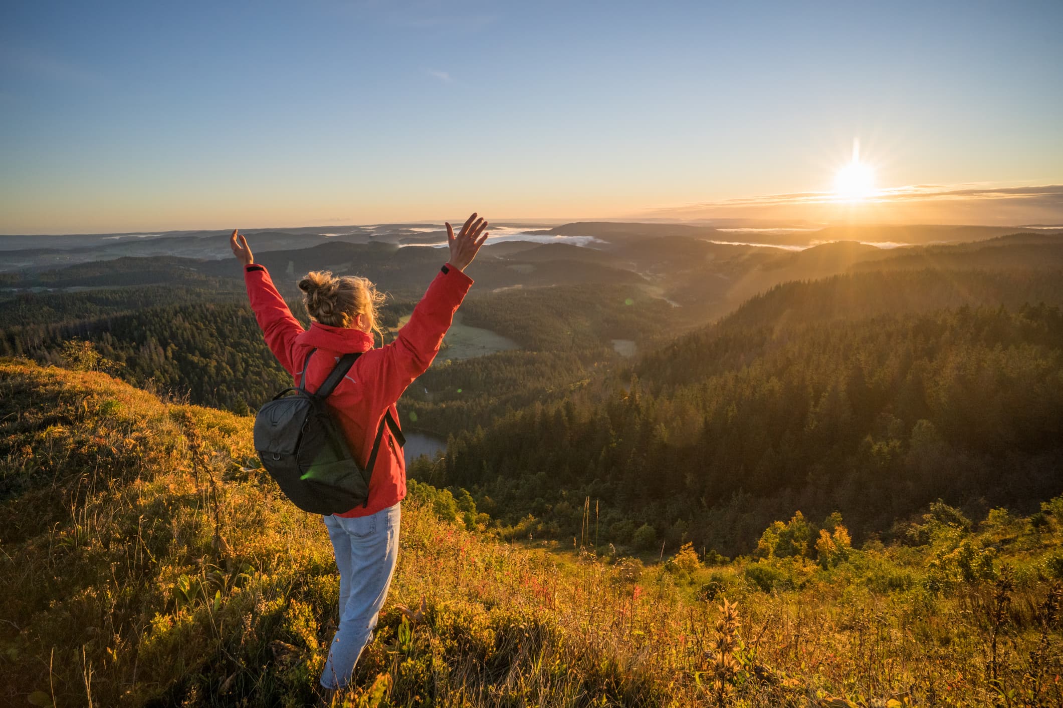 Uitzicht Zwarte Woud tijdens roadtrip