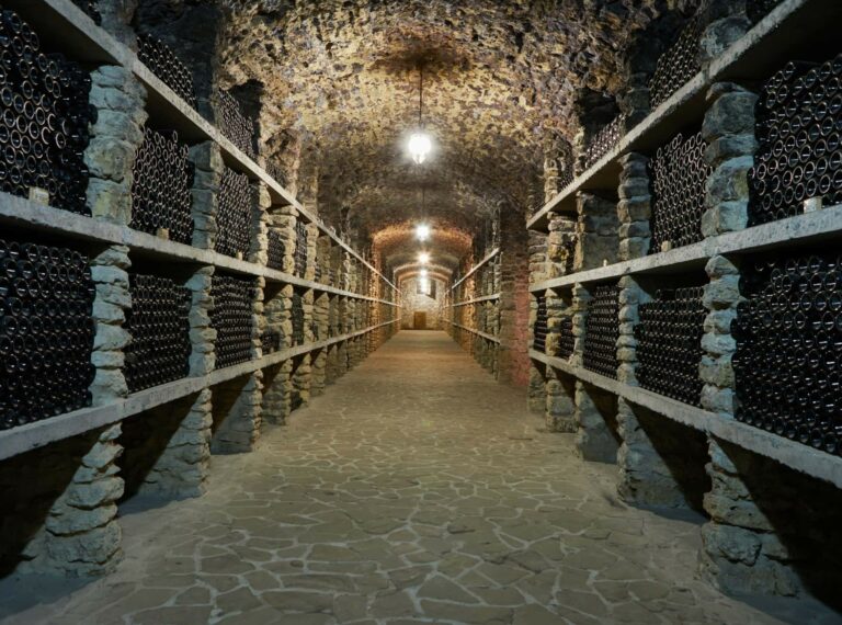 Bordeaux, wijnhoofdstad van Frankrijk bezoeken tijdens roadtrip