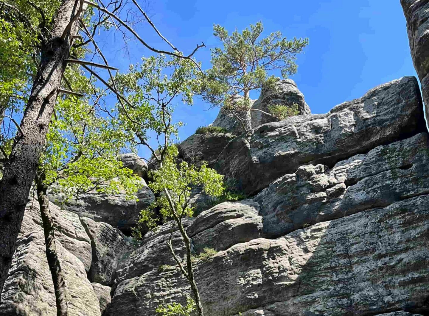 Table Mountains National Park
